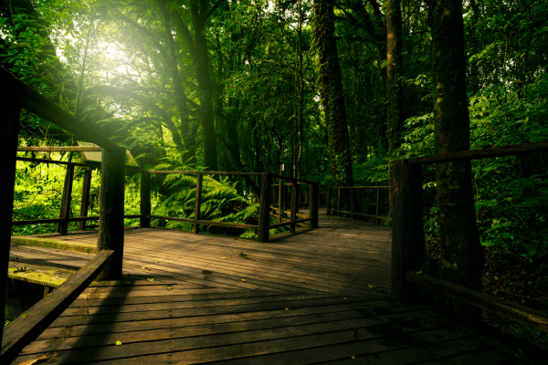 turismo sustentable1 (1)